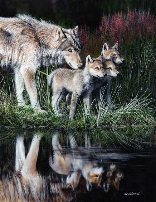 Reflections Poster Print - Kevin Daniel