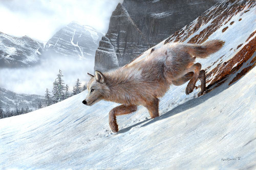 Wolf Ridge Poster Print - Kevin Daniel
