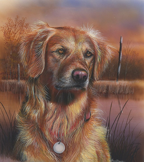Golden Reteiever Poster Print - Kevin Daniel