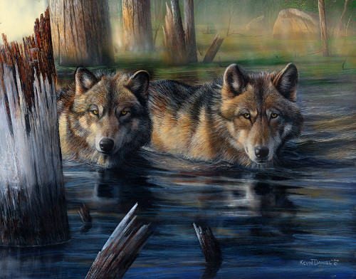 Shallow Backwaters Poster Print - Kevin Daniel