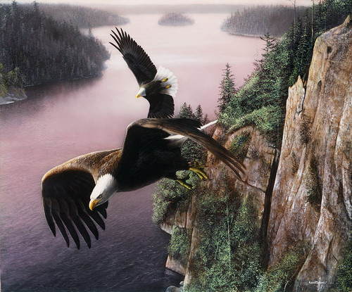 Wings Over The St Croix Poster Print - Kevin Daniel
