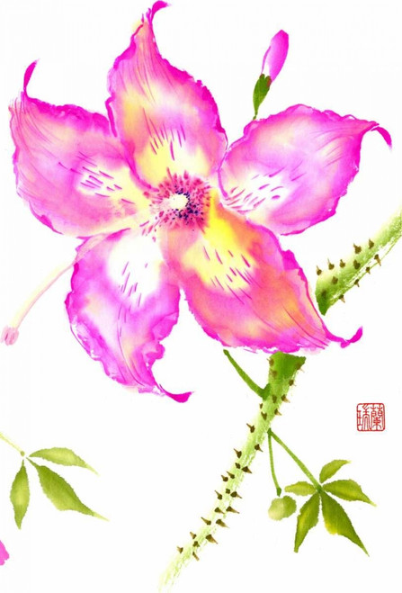 Hibiscus Flower III Poster Print - Nan Rae
