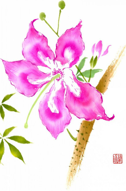 Hibiscus Flower II Poster Print - Nan Rae