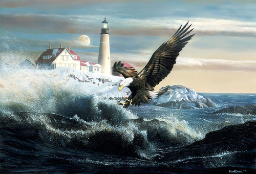 Sea Eagle Poster Print - Kevin Daniel