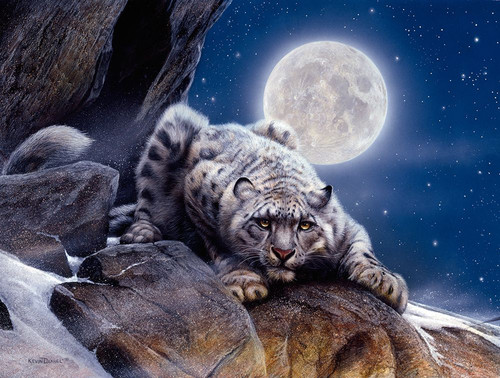 Snow Leopard Poster Print - Kevin Daniel