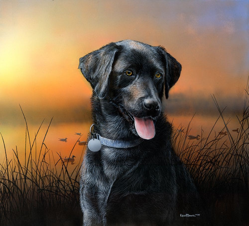 Happy Lab Poster Print - Kevin Daniel