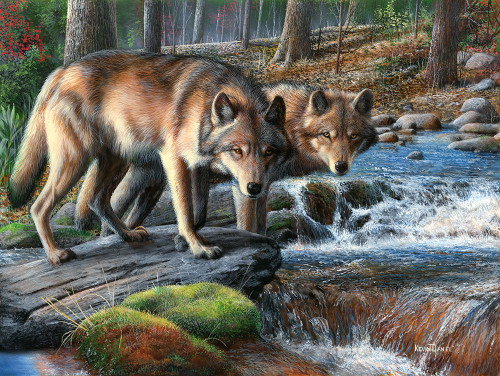 Keen Vigilance Poster Print - Kevin Daniel