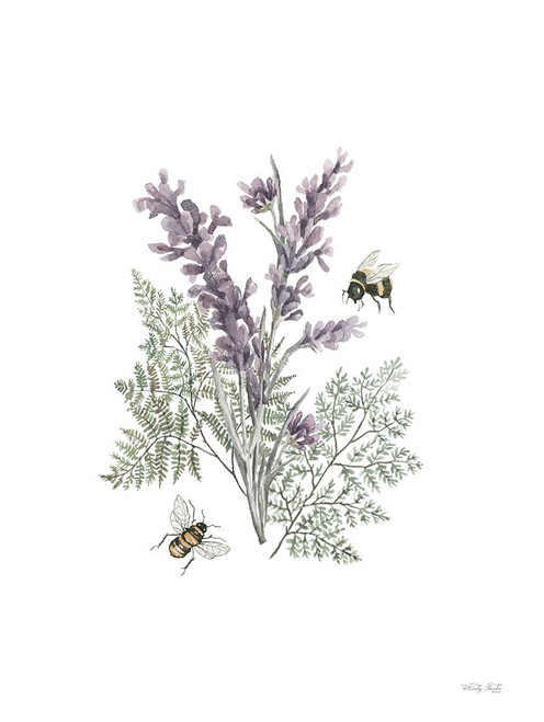 Lavender Botanical Poster Print - Cindy Jacobs