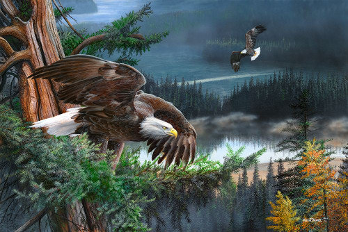 Wings Of Freedom Poster Print - Kevin Daniel
