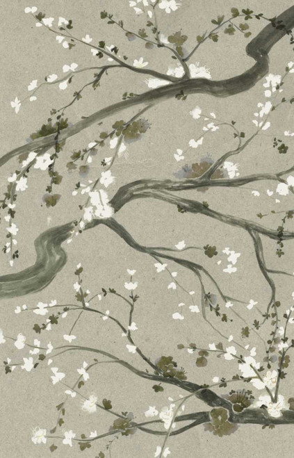 Neutral Cherry Blossoms II Poster Print - Grace Popp