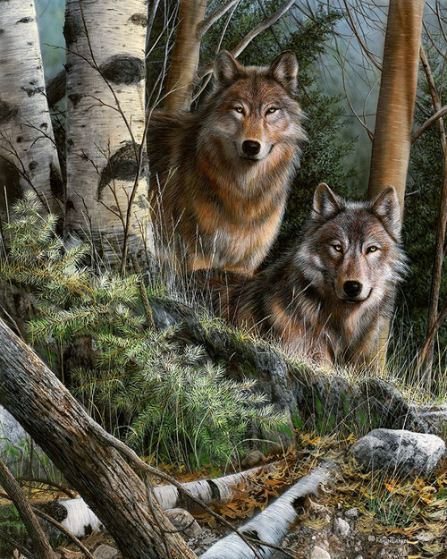 Watchful Eyes Poster Print - Kevin Daniel