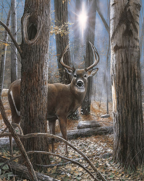 Woodland Sentry Buck Poster Print - Kevin Daniel