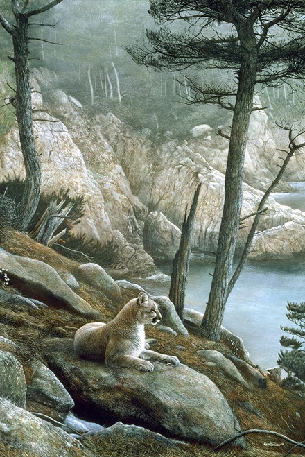 Cougar Poster Print - Kevin Daniel