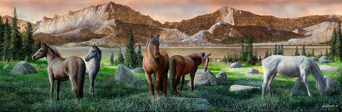 Horse View Poster Print - Kevin Daniel