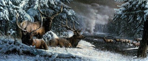 Late Winter Gathering Poster Print - Kevin Daniel