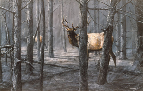 The Consequence Of Fire Poster Print - Kevin Daniel