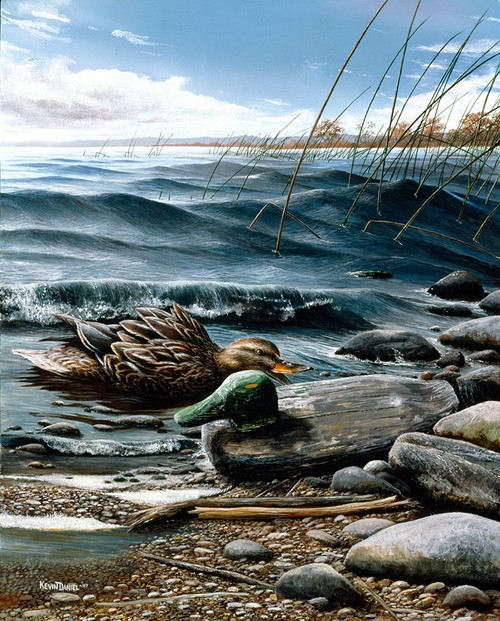 The Lost Decoy II Poster Print - Kevin Daniel
