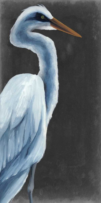 Herald II Poster Print - Grace Popp