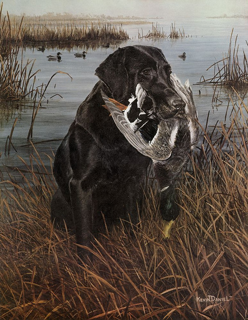 A Friend In The Marsh Poster Print - Kevin Daniel
