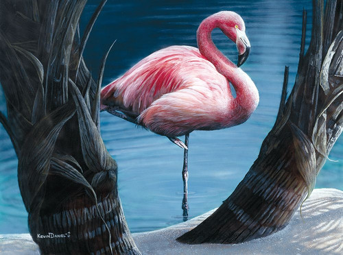 Flamingo Poster Print - Kevin Daniel