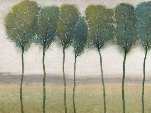 Row of Trees I Poster Print - Tim OToole