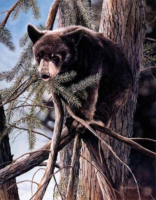 Out On A Limb Poster Print - Kevin Daniel