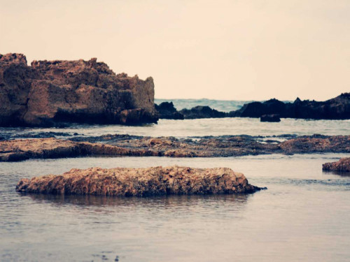 Mediterranean II Poster Print - Sylvia Coomes