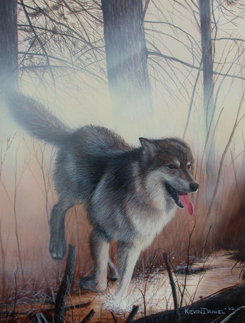 Startled Poster Print - Kevin Daniel