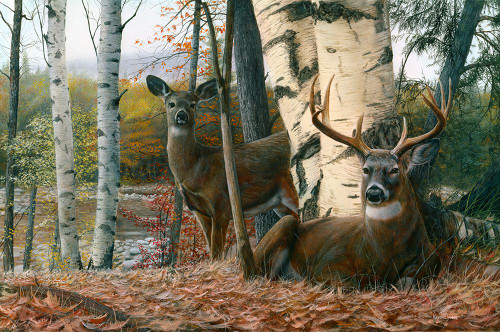 Autumn Majesty Poster Print - Kevin Daniel