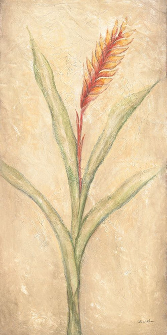 Tropical Flowers III Poster Print - Cheri Blum