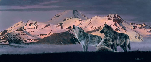 Call Of The Wild II Poster Print - Kevin Daniel