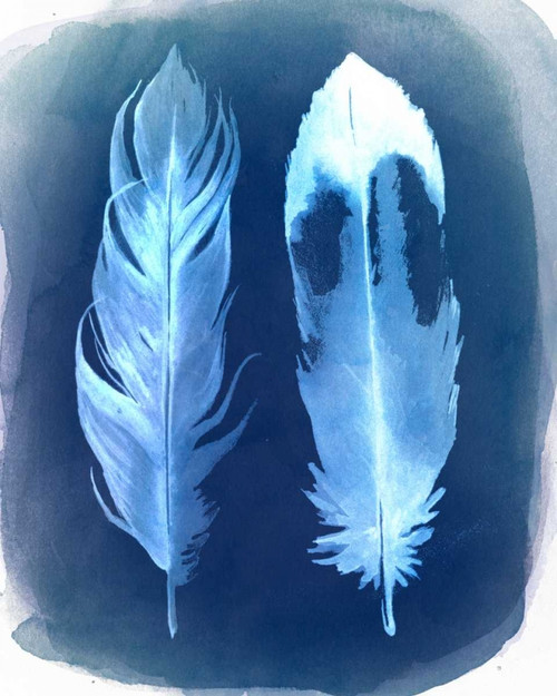 Feather Negatives II Poster Print - Grace Popp