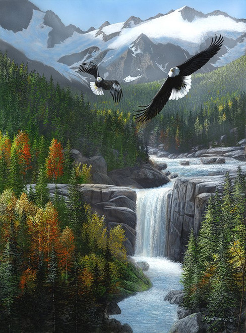 Freedom Falls Poster Print - Kevin Daniel