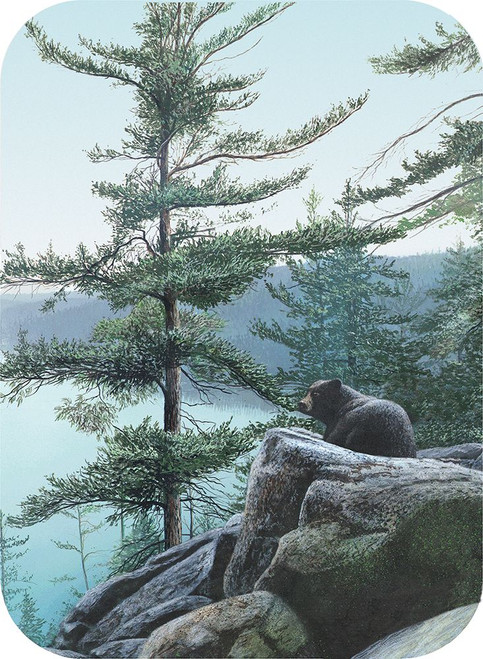 The Outlook Poster Print - Kevin Daniel