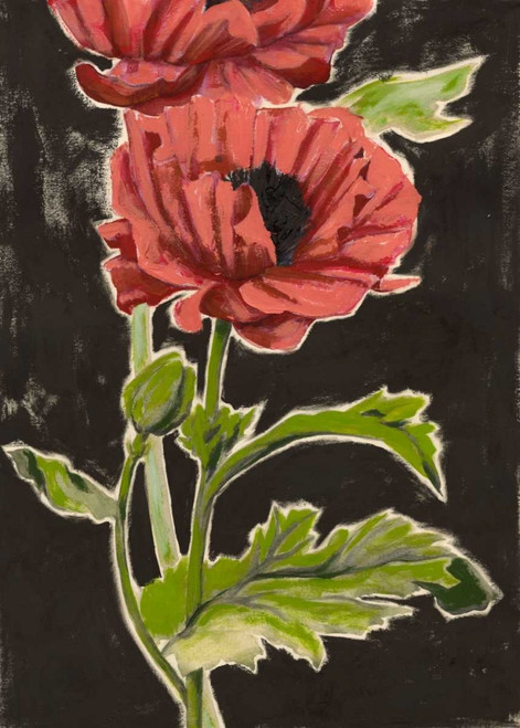 Haloed Poppies II Poster Print - Grace Popp