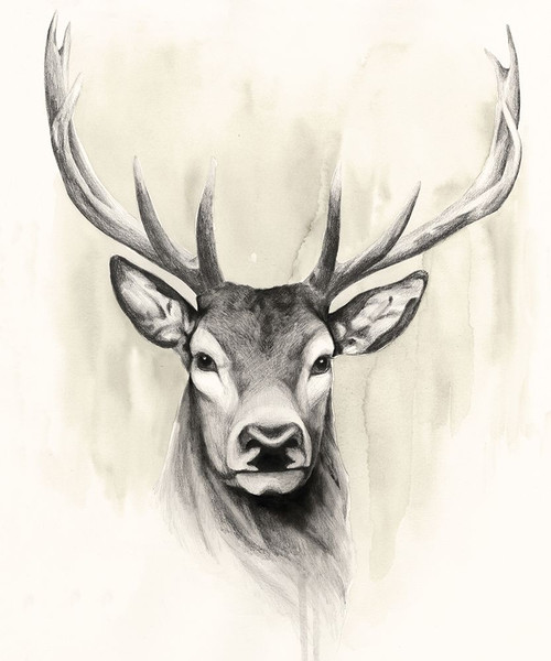 Timberland Animals I Poster Print - Grace Popp