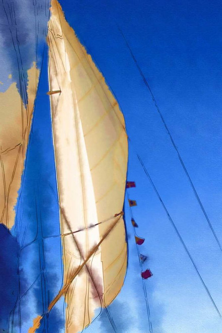 Sailing I Poster Print - Danny Head