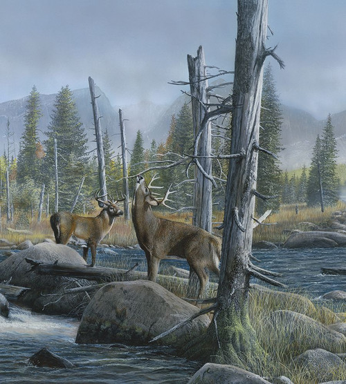 Buck Meadow Poster Print - Kevin Daniel