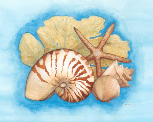 Seashells and Seafan I Poster Print - Wendy Russell