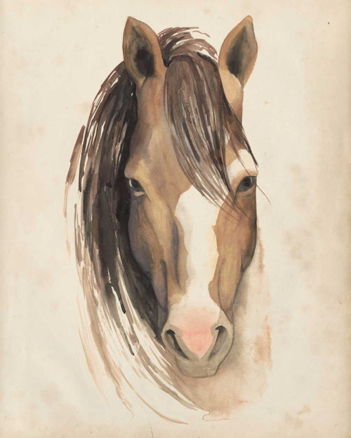 Watercolor Animal Study V Poster Print - Grace Popp