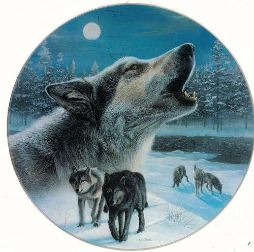 Midnight Harmony Poster Print - Kevin Daniel