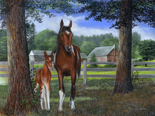 Mare and Foal Poster Print - Kevin Daniel