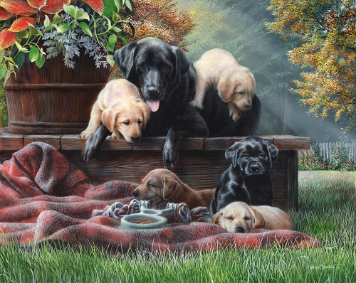 Cozy Moments Poster Print - Kevin Daniel