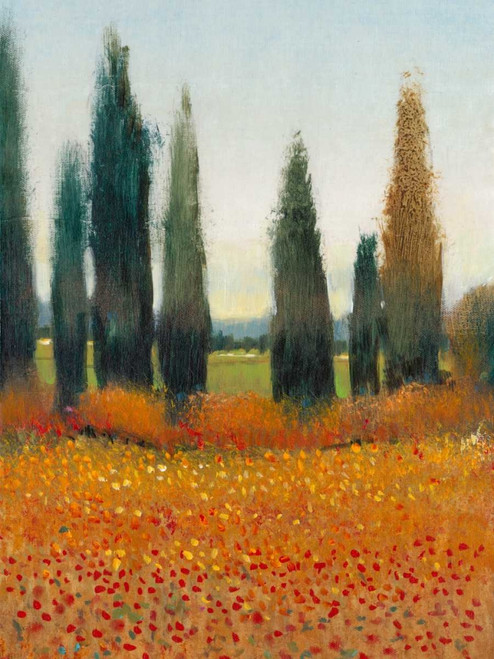Cypress Trees I Poster Print - Tim OToole