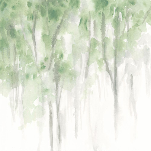 Misty Grove II Poster Print - June Erica Vess