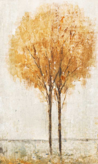 Falling Leaves I Poster Print - Tim OToole