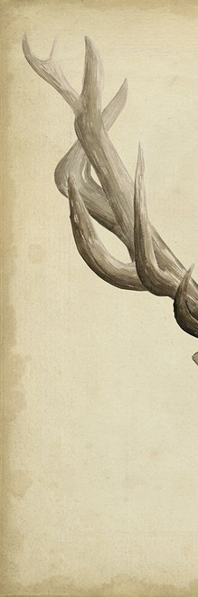 Triptych Elk I Poster Print - Grace Popp