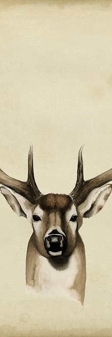Triptych Whitetail II Poster Print - Grace Popp