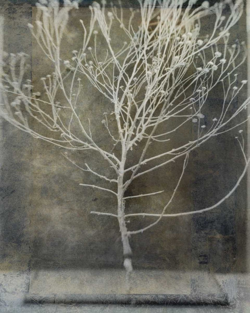 Desert Form IV Poster Print - Elena Ray