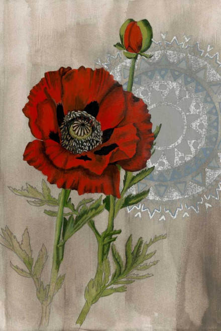 Bohemian Botanical III Poster Print - Naomi McCavitt